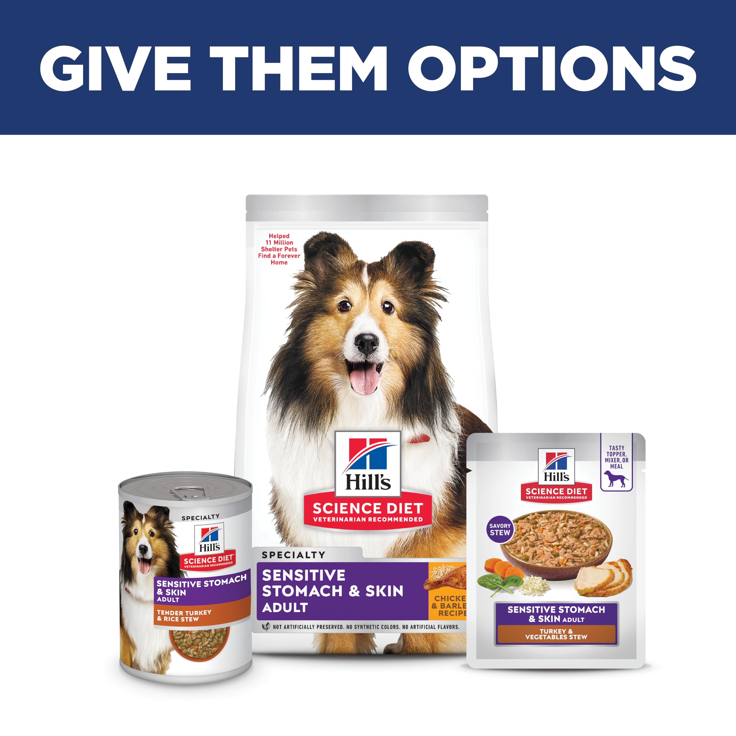 Hill's Science Diet turkey stew served in a bowl for dogs