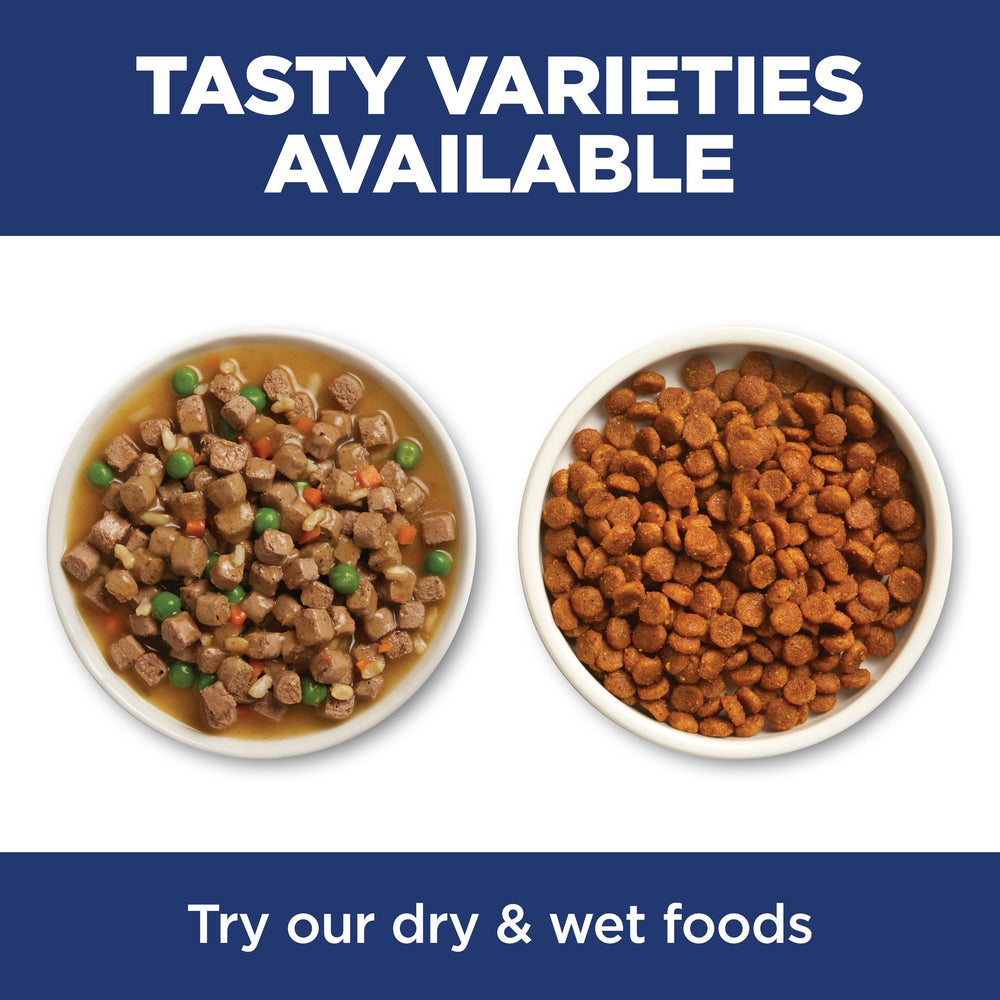 Hill's Science Diet is a trusted brand recommended by veterinarians in the US.