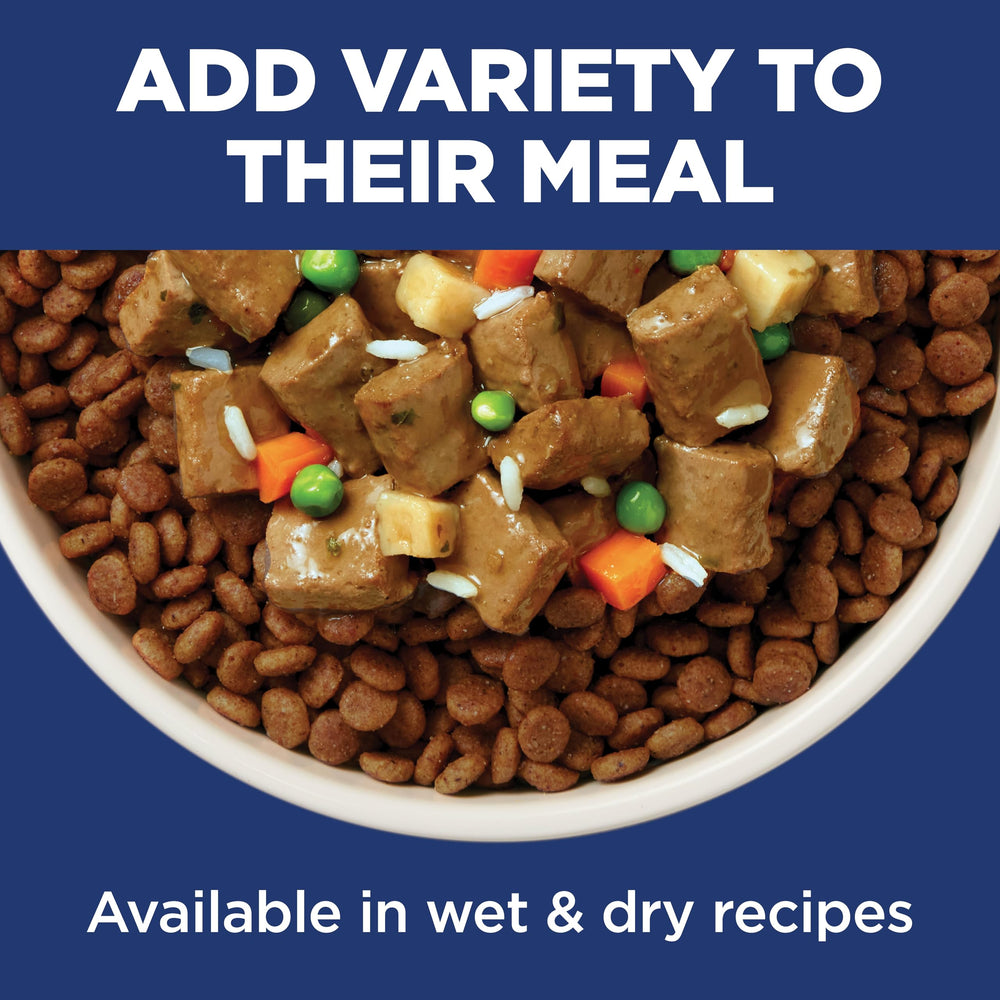 Hill's Science Diet premium small dog kibble texture designed for bite-sized eating