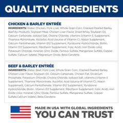 Hill's Science Diet wet dog food bowl serving, featuring chicken and beef flavors.