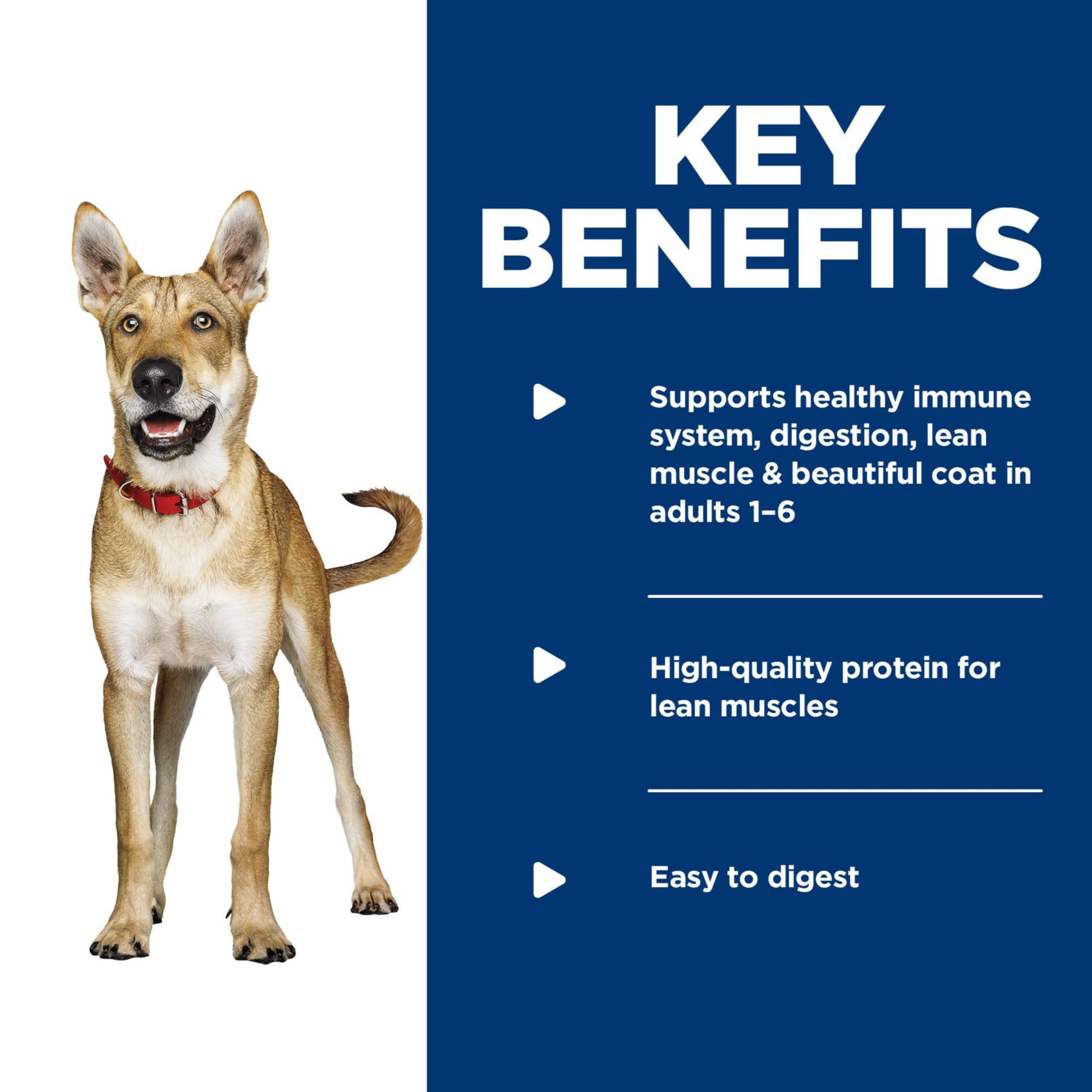 Hill's Science Diet wet dog food can with beef, savory flavor supports active dogs.