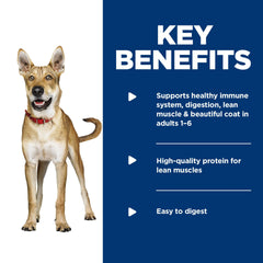 Hill's Science Diet wet dog food can with beef, savory flavor supports active dogs.