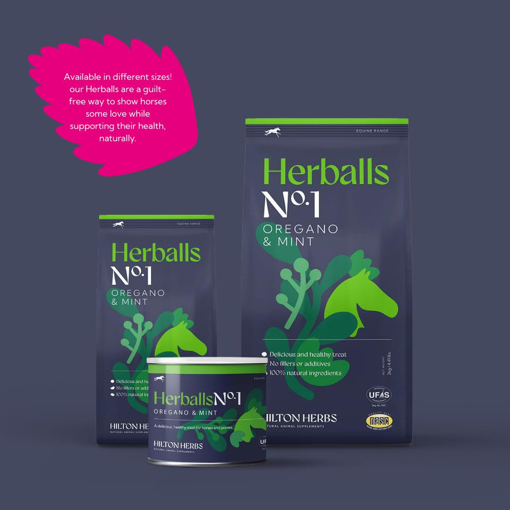 Hilton Herbs Herballs oregano-mint aroma enhances enjoyable training sessions.