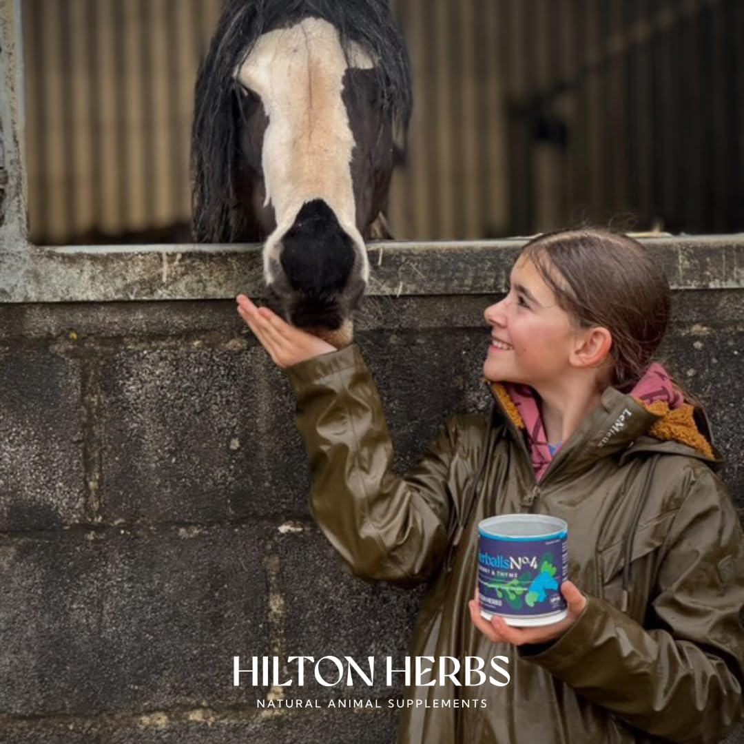 Hilton Herbs Herballs versatile portions support daily rewards and mini-feeds.