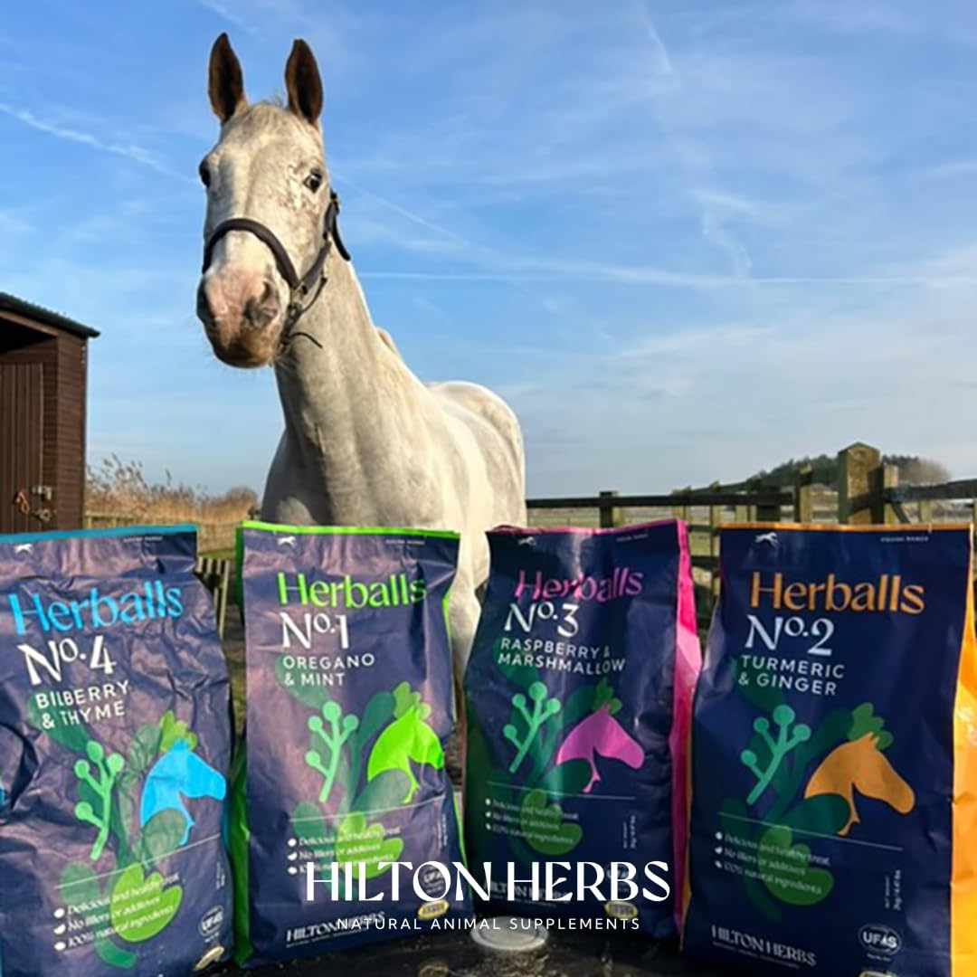 Hilton Herbs Herballs five-flavor range adds variety to feeding.