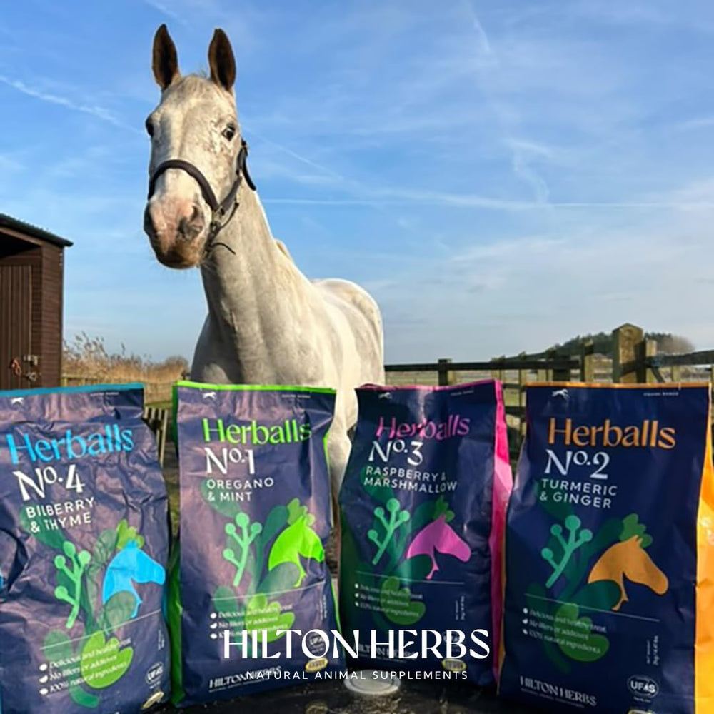Hilton Herbs Herballs five-flavor range adds variety to feeding.