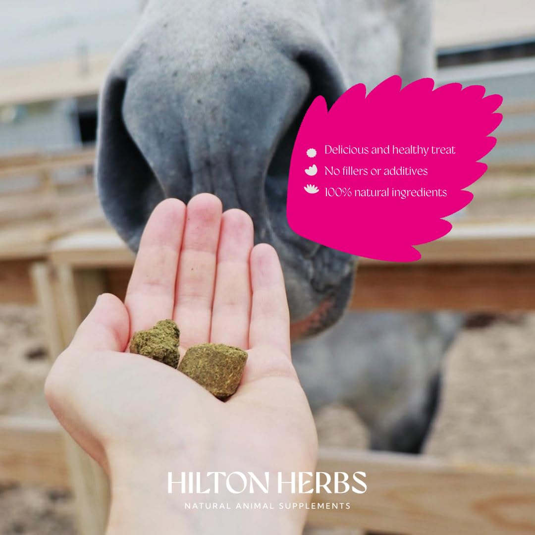 Hilton Herbs Herballs pocket-size pack ideal for quick, on-the-go rewards.