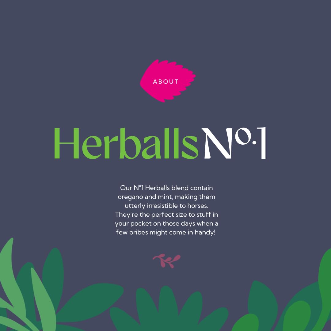 Hilton Herbs Herballs oregano and mint blend appeals to horses.