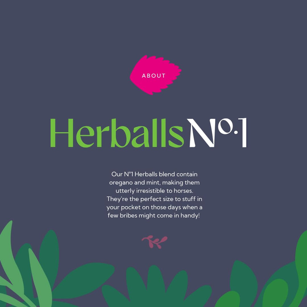 Hilton Herbs Herballs oregano and mint blend appeals to horses.
