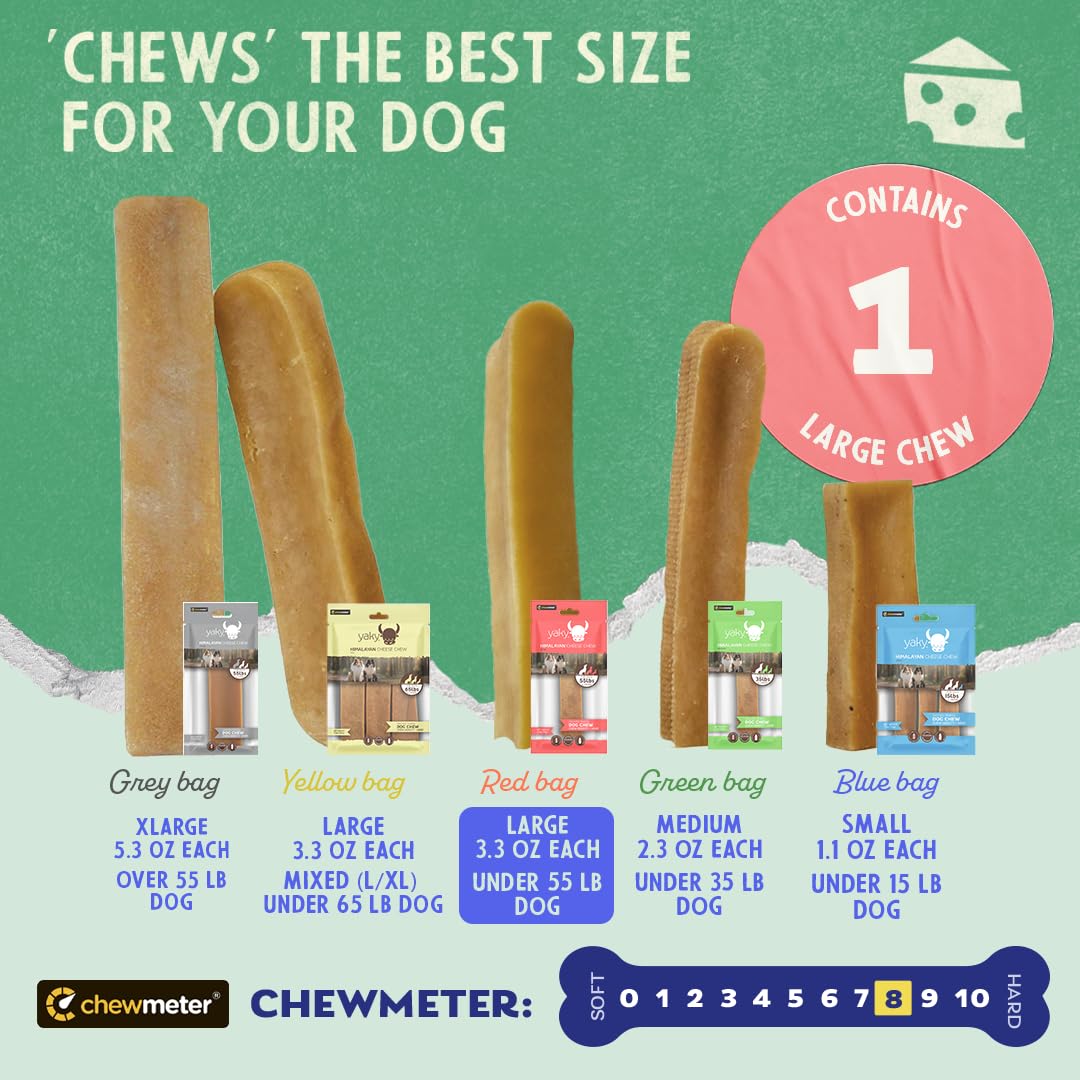 Dog enjoying Chewmeter Himalayan Yaky Cheese Chew during playtime