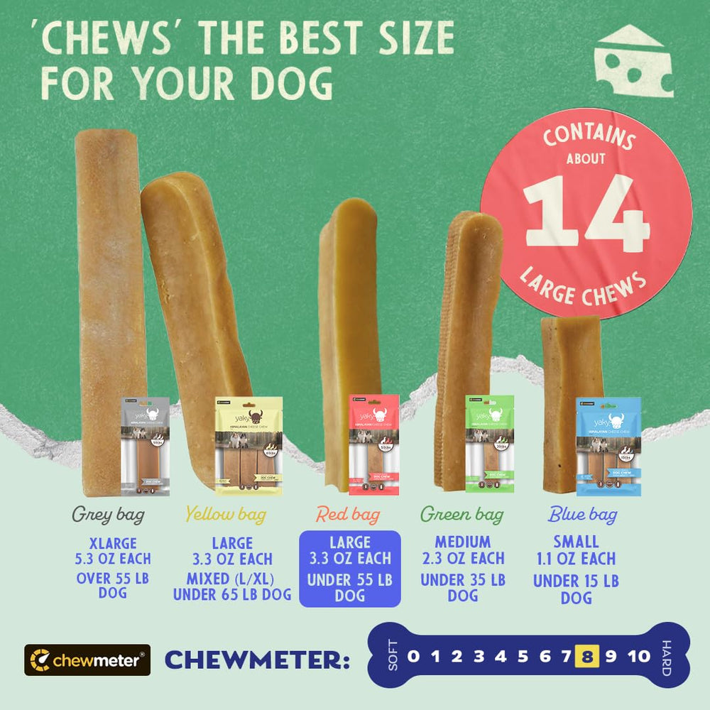 Dog chews happily during play with Himalayan Yak Cheese Chew