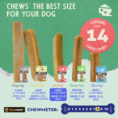 Dog chews happily during play with Himalayan Yak Cheese Chew