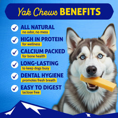 Himalayan Dog Chew packaging view showing four-ingredient recipe and sourcing