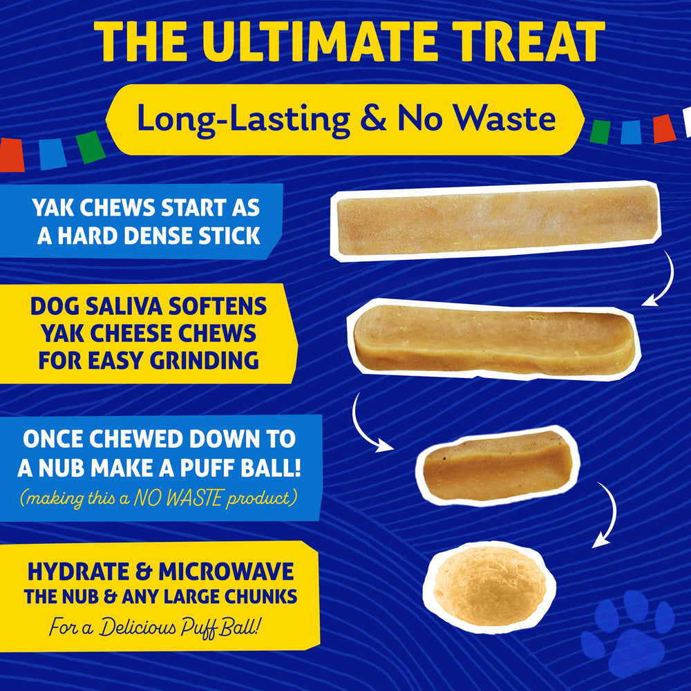 Himalayan Dog Chew demonstrates a durable chew for long-lasting entertainment.