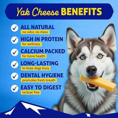 Closeup of hard chew texture for aggressive chewers with a tough, tasty feel.
