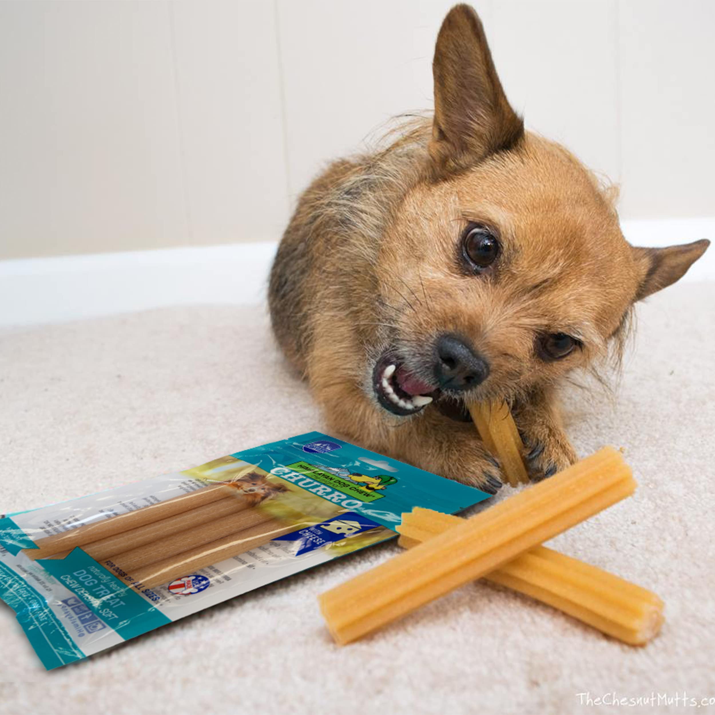 Himalayan Dog Chew churro cheese close-up highlighting real Himalayan cheese flavor.