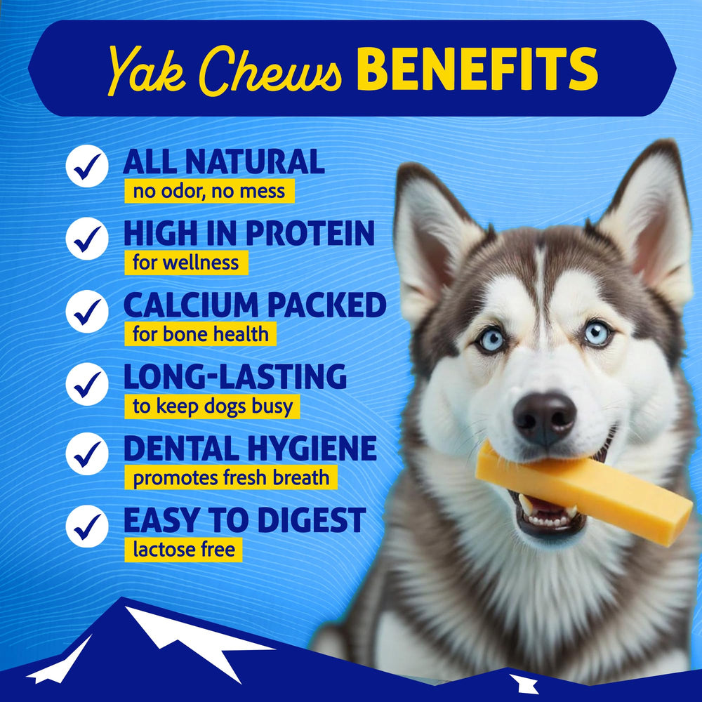 Himalayan Dog Chew long-lasting-chew beside dog features durability for strong chewers.