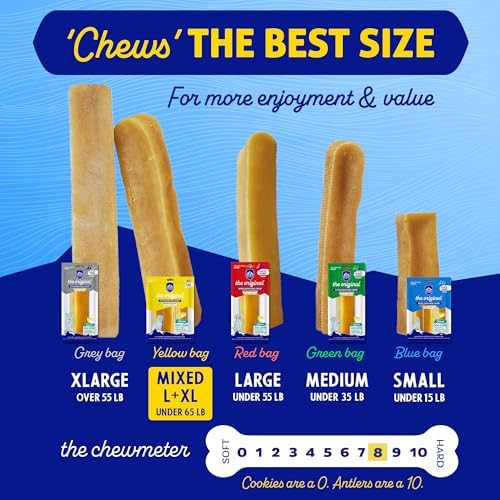 Himalayan Dog Chew peanut butter flavor closeup highlighting aroma