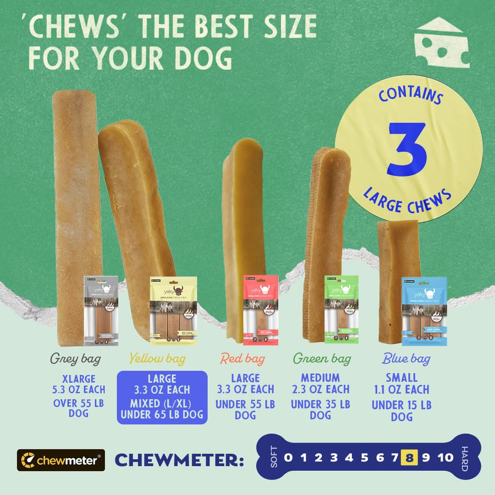 Himalayan Dog Chew Yaky Cheese dog chewing action demonstrates engagement and durable chew.
