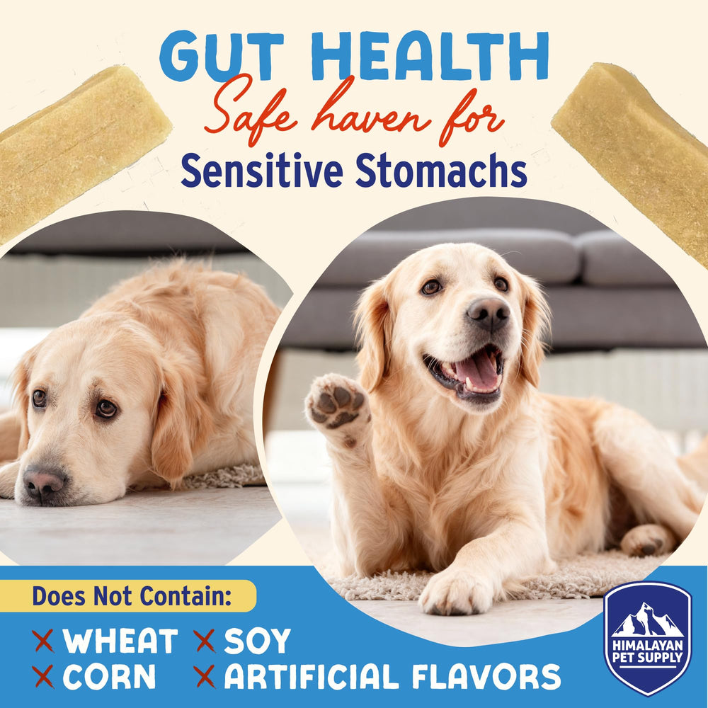 Lactose- and gluten-free formulation highlighted for dogs with sensitivities.