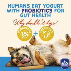 Himalayan Dog Yogurt Sticks provide soft density gentle on teeth and stomach.