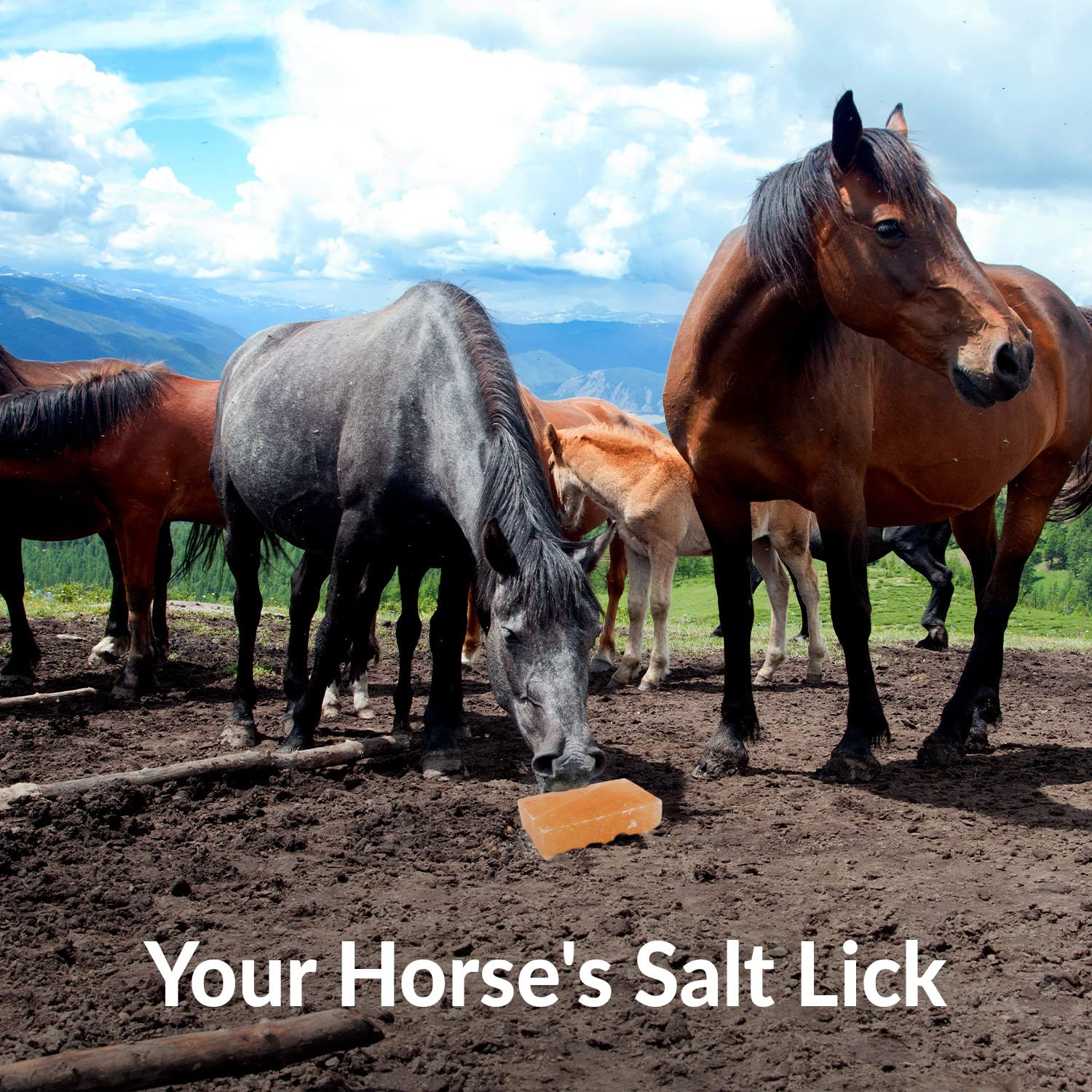 Himalayan Nature hard rock salt lick blocks resist biting and rain.