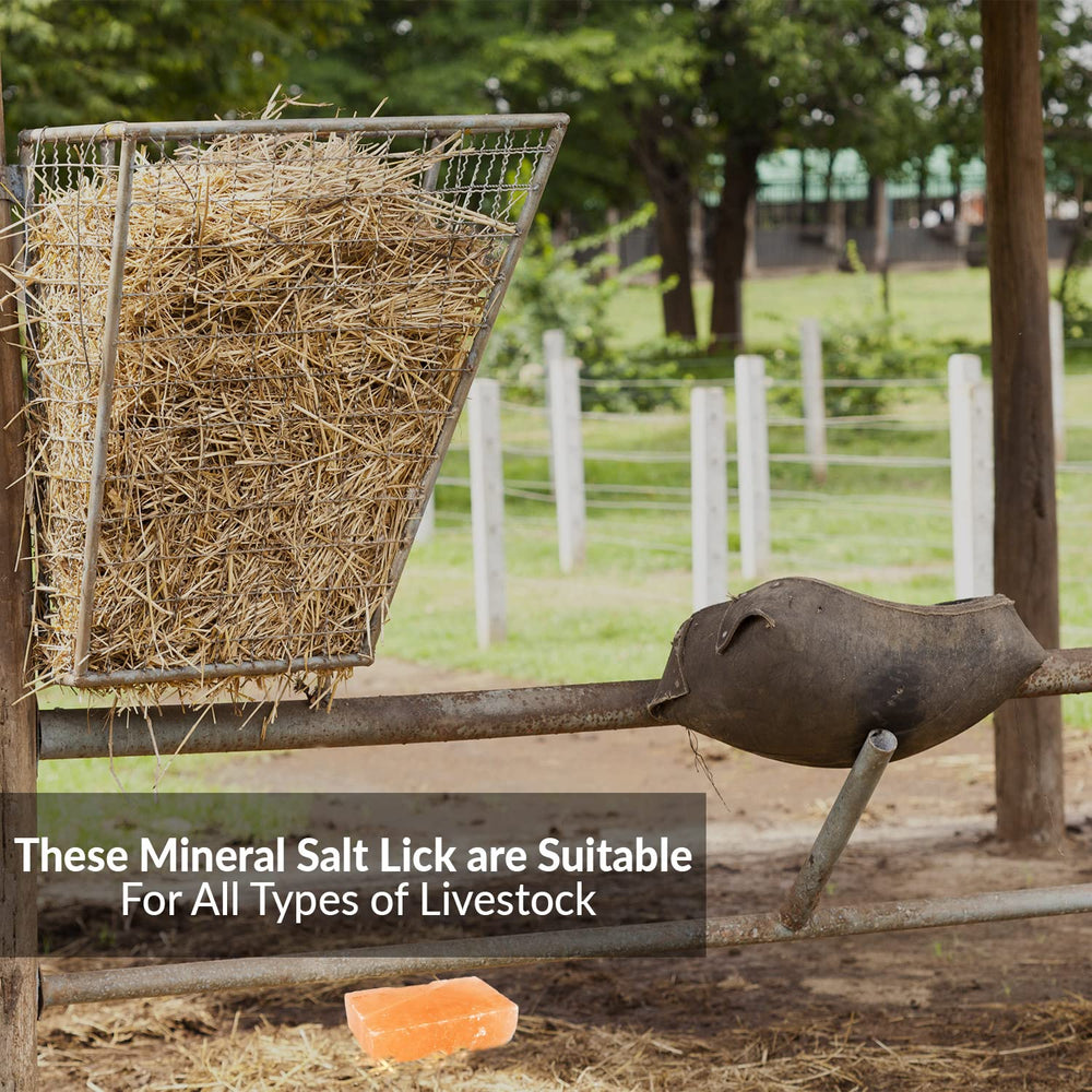 Himalayan Nature pack of 2 salt blocks for livestock feeding.