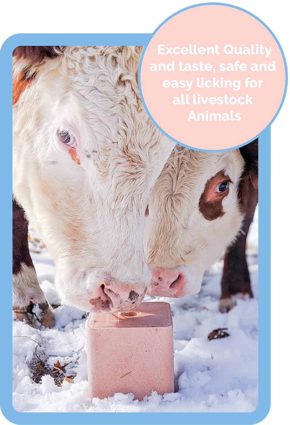 Himalayan Secrets Himalayan-origin salt—sustainably sourced