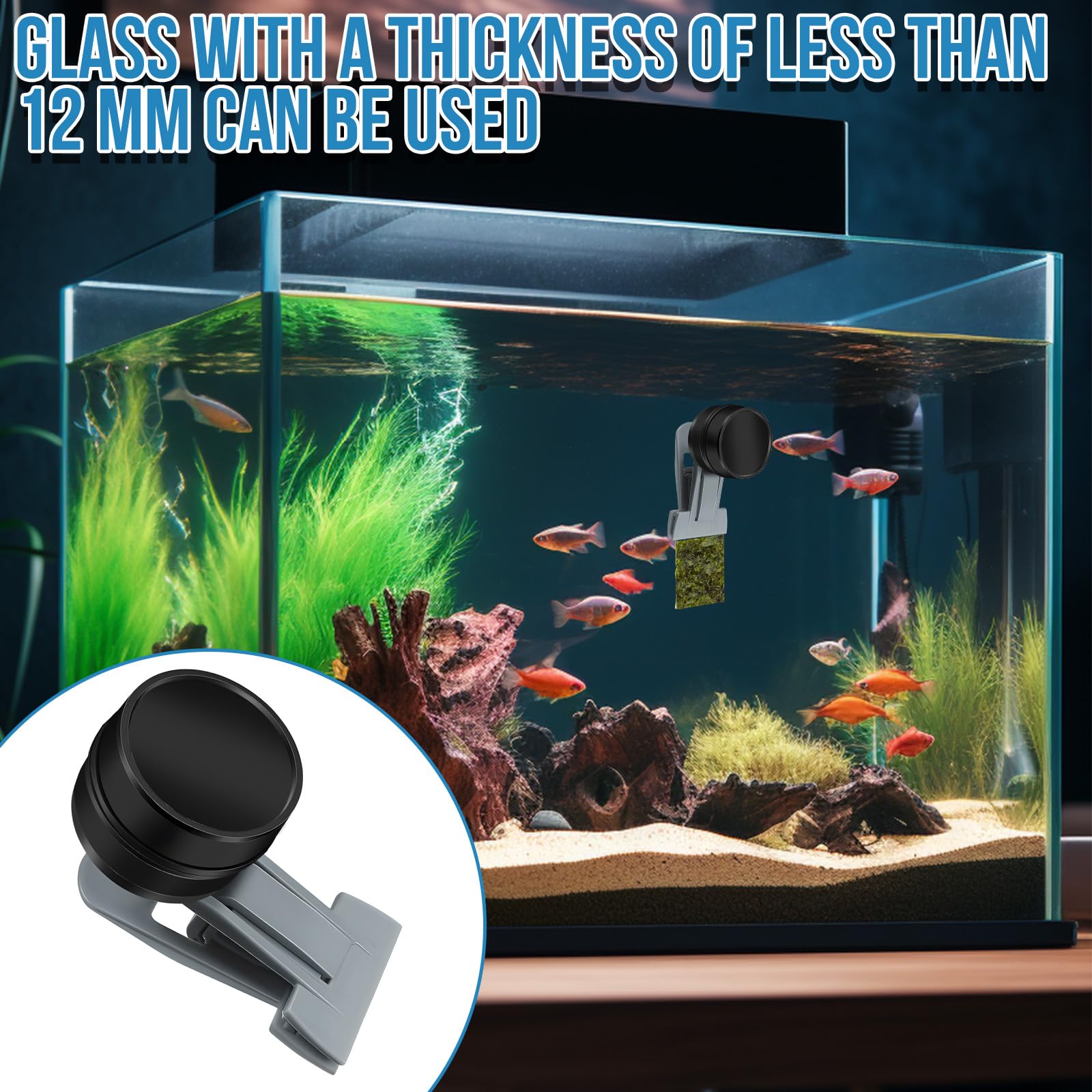 HINGTAI goldfish feeder ring in tank delivers centered meals efficiently
