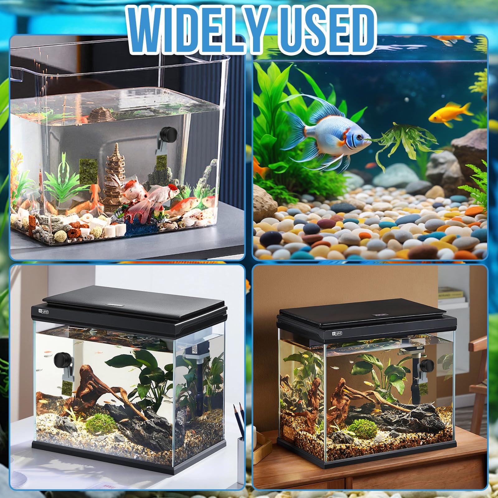 HINGTAI packaged goldfish feeder ready for gifting to fellow hobbyists