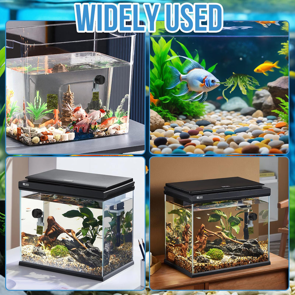 HINGTAI packaged goldfish feeder ready for gifting to fellow hobbyists