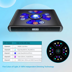 Hipargero A100 moonlight reef-light for nocturnal tank viewing