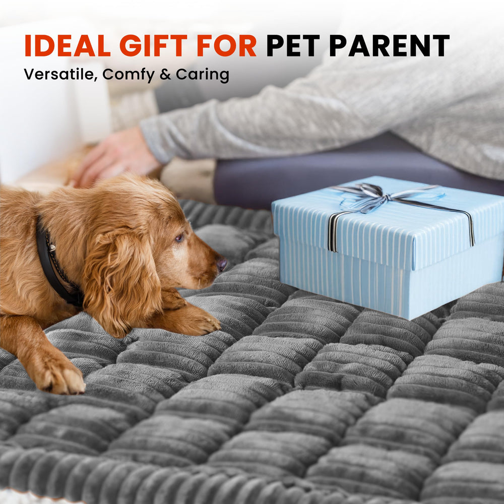 HiPetpy versatile pet blanket and cover for travel and home