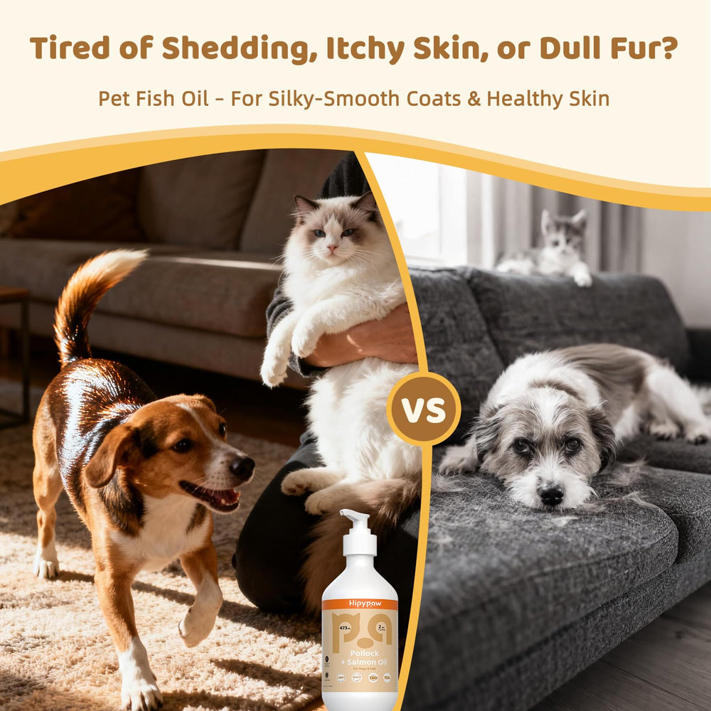 HipyPaw omega-3 coat-boost application suggests shinier fur and healthier-looking coats.
