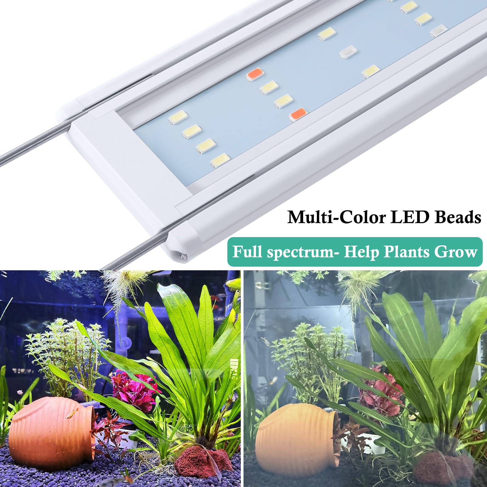 Hitop WRGB LEDs deliver vibrant colors and plant-friendly spectrum