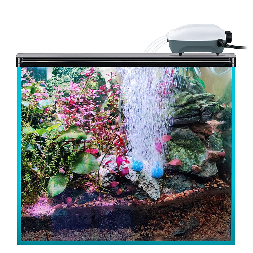 Hitop dual-outlet pump delivering even aeration for tanks.