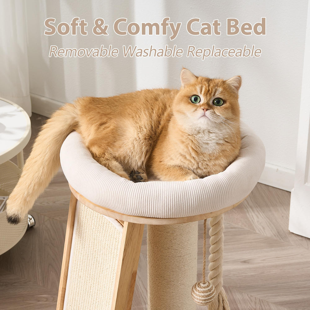 HITTITE indoor cat tree supports rest, play, and grooming instincts.