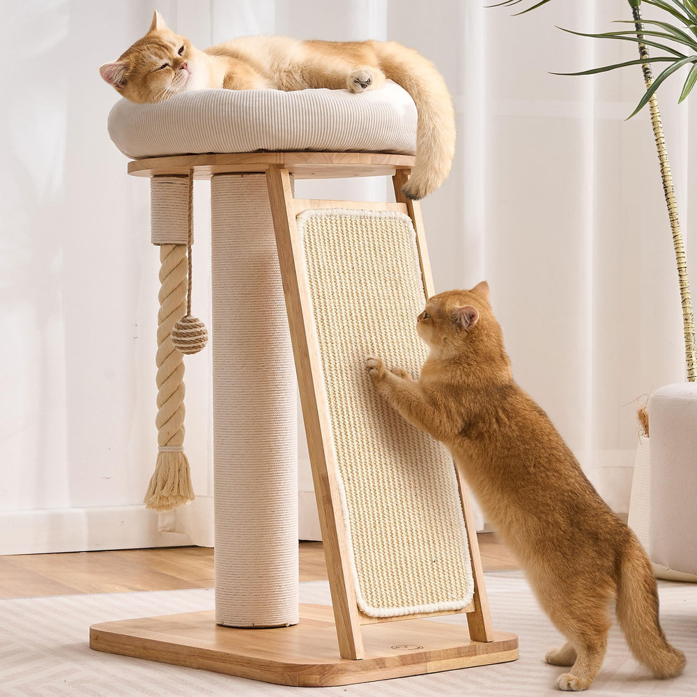 HITTITE modern cat tree with bed provides a cozy resting spot for indoor cats.