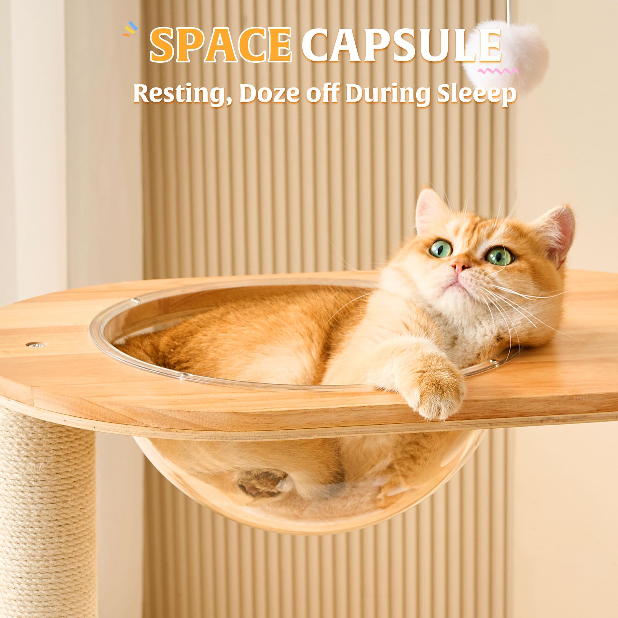 HITTITE solid wood cat tree perch high for watching from above