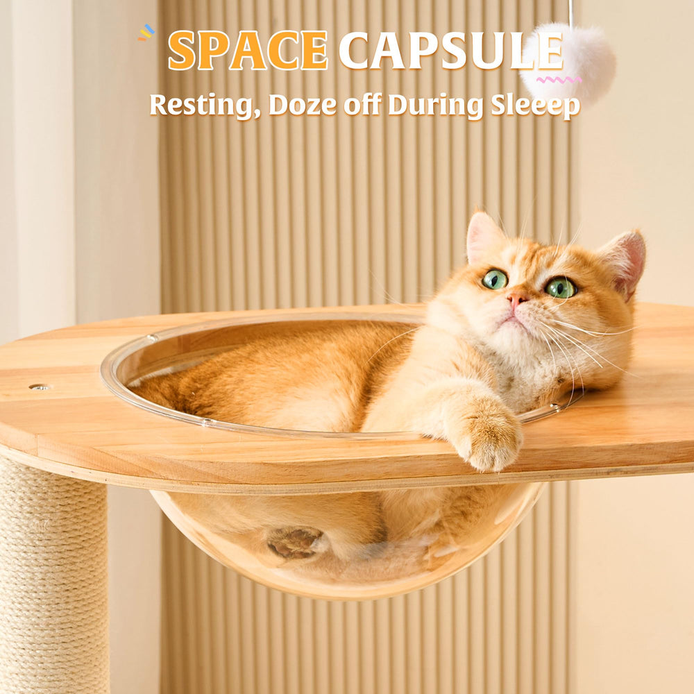 HITTITE solid wood cat tree perch high for watching from above