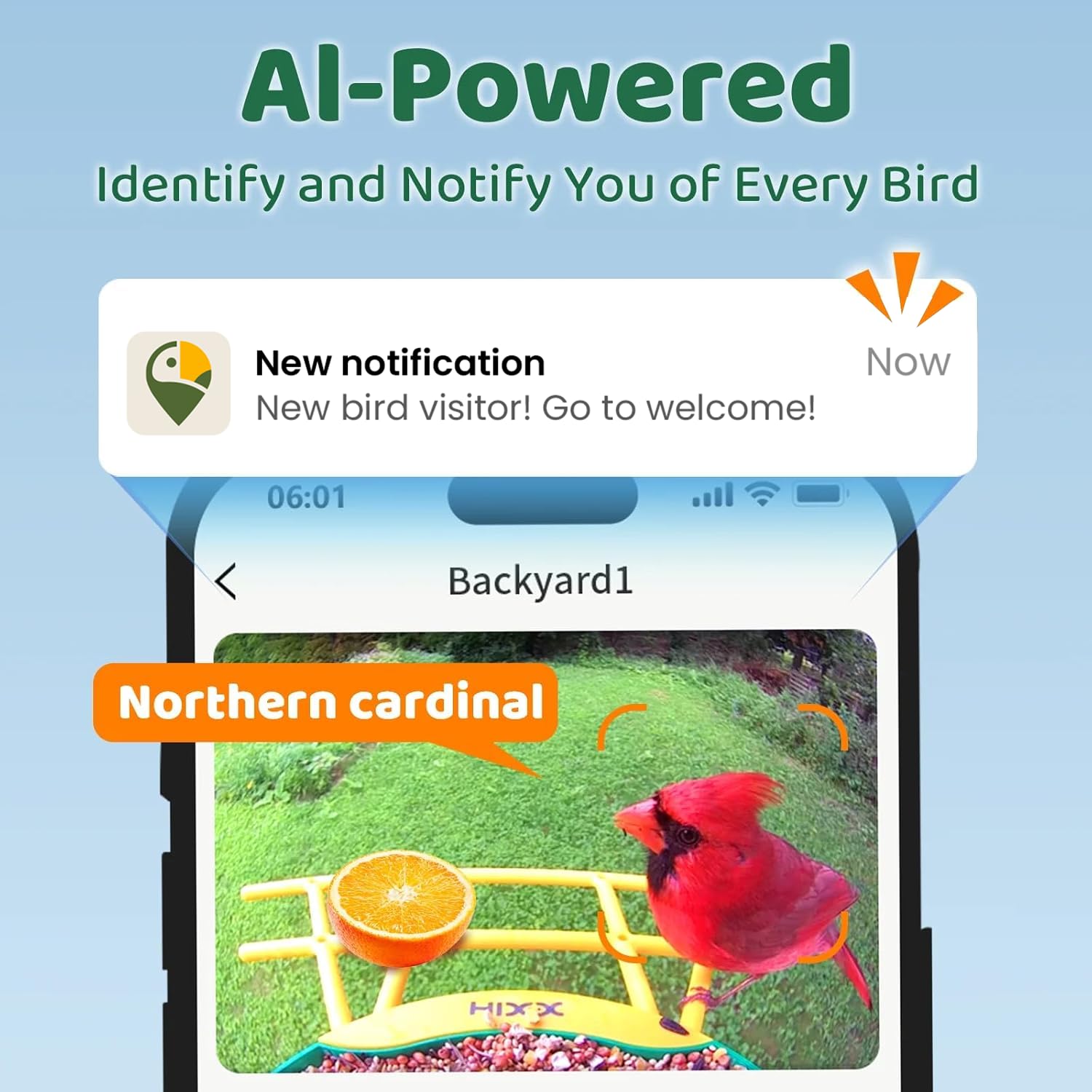 HIXX Smart Bird Feeder AI recognition identifies species