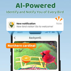 HIXX Smart Bird Feeder AI recognition identifies species