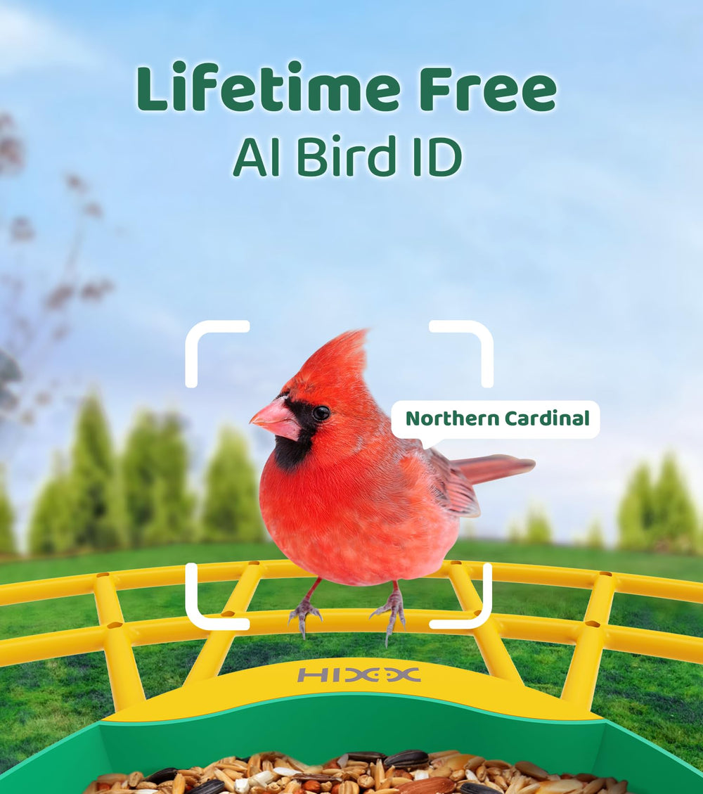 HIXX feeder integrates Chirpchat AI for quick bird identification