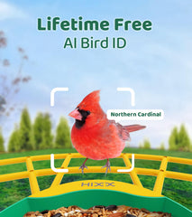 HIXX feeder integrates Chirpchat AI for quick bird identification
