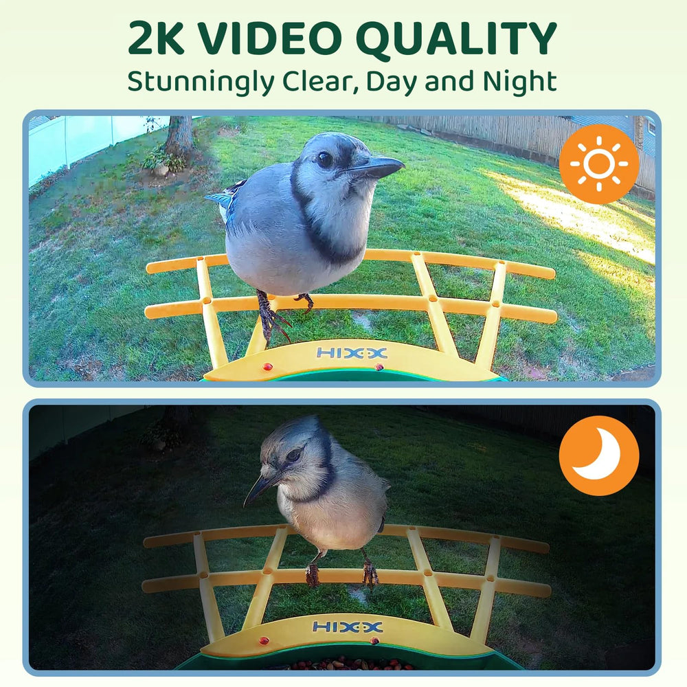 HIXX COOLFLY app offers interactive birding and sharing