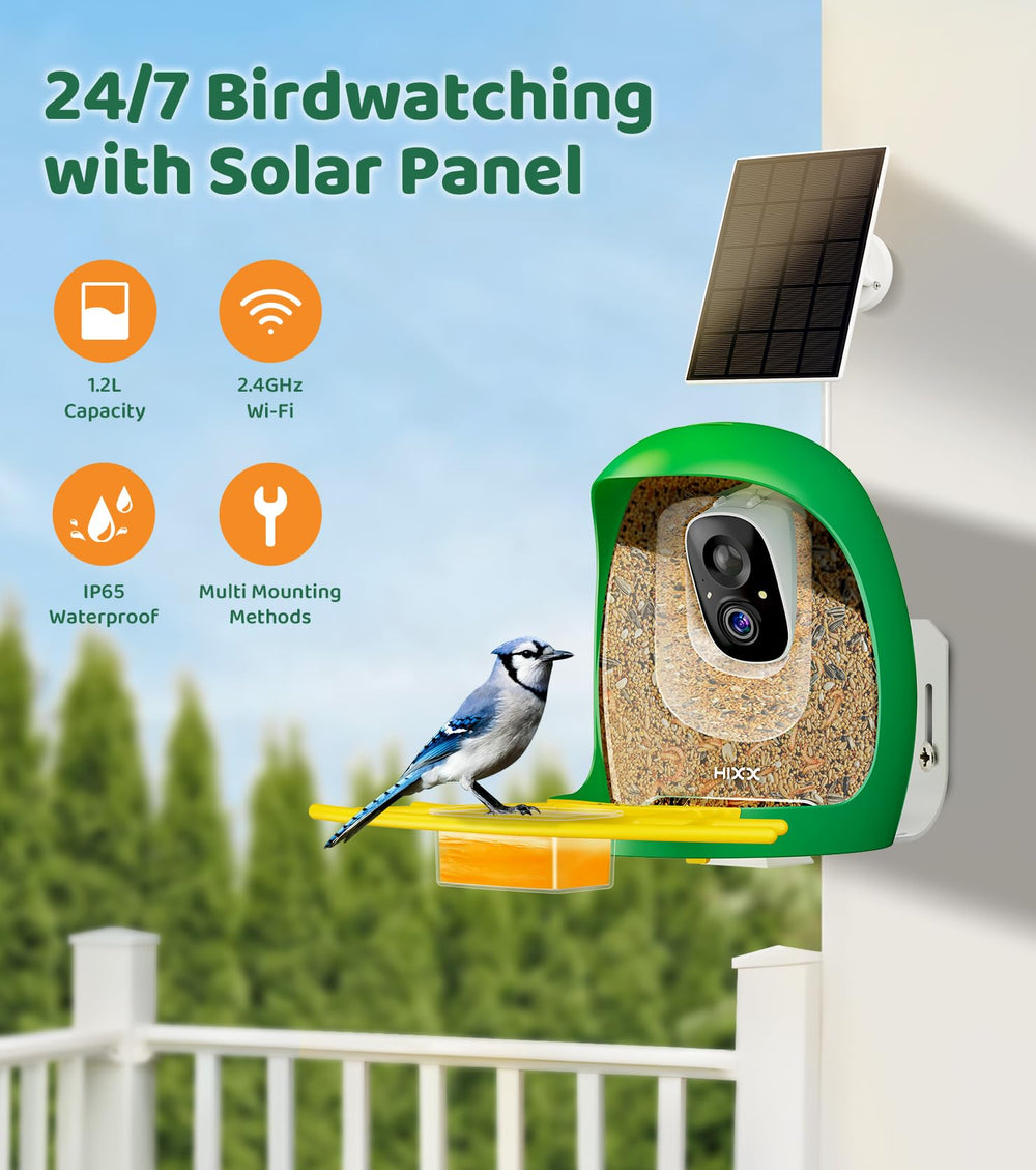 HIXX live 2K bird view captures vivid feeder visits from outdoors