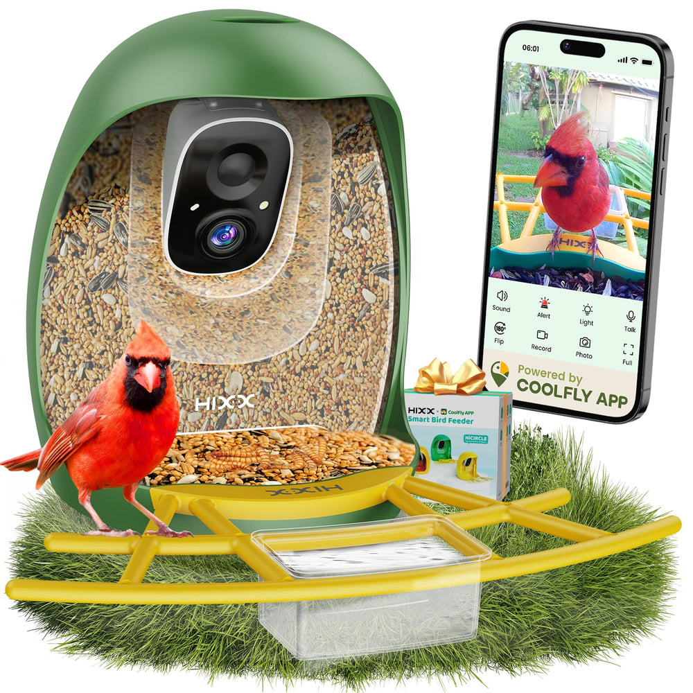 HIXX Smart Bird Feeder camera setup for real-time birdwatching on your phone
