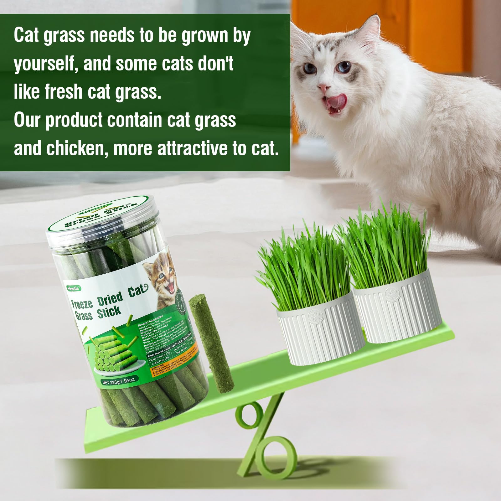 HKpetie cat grass teething stick cat enjoying treat.