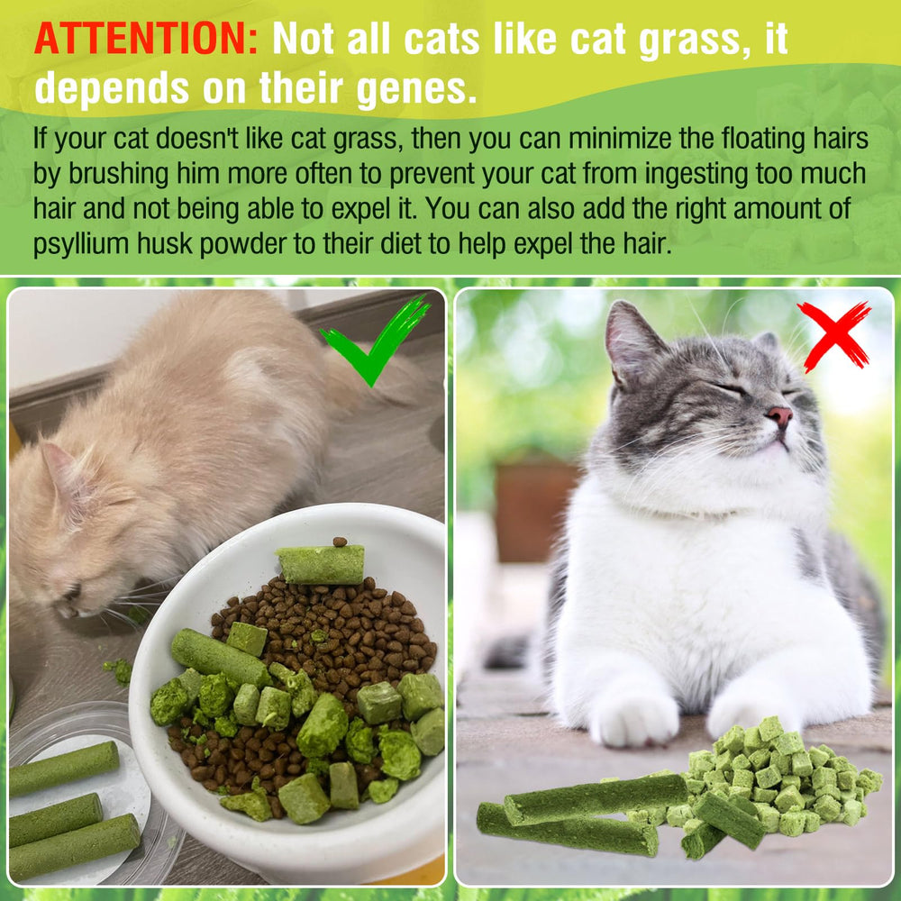 HKpetie cat grass teething stick pictured aiding hairball control.