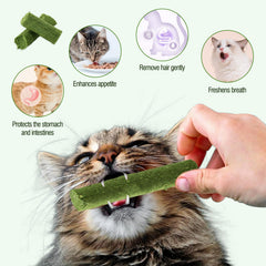 HKpetie cat grass teething stick packaging on display.